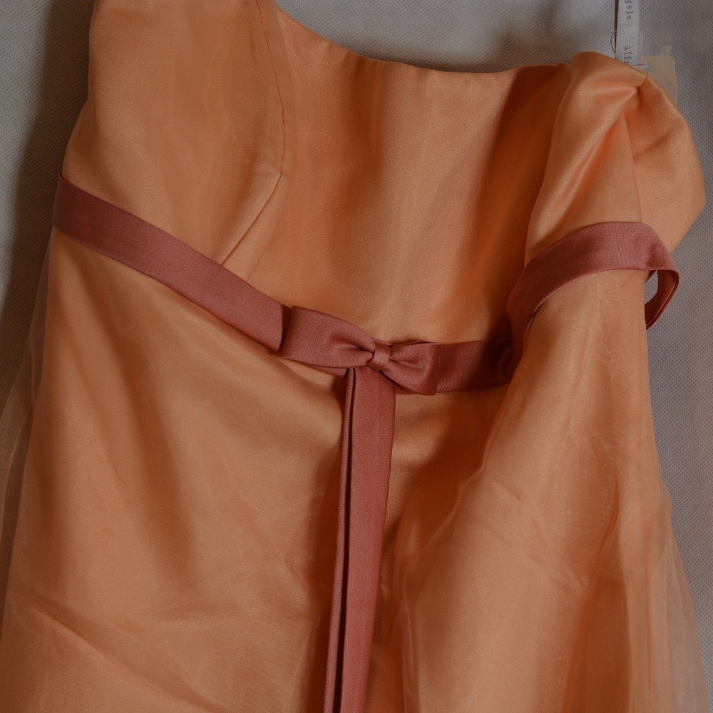 Alfred Angelo SZ 14 Organza-type Lined Strapless Dress